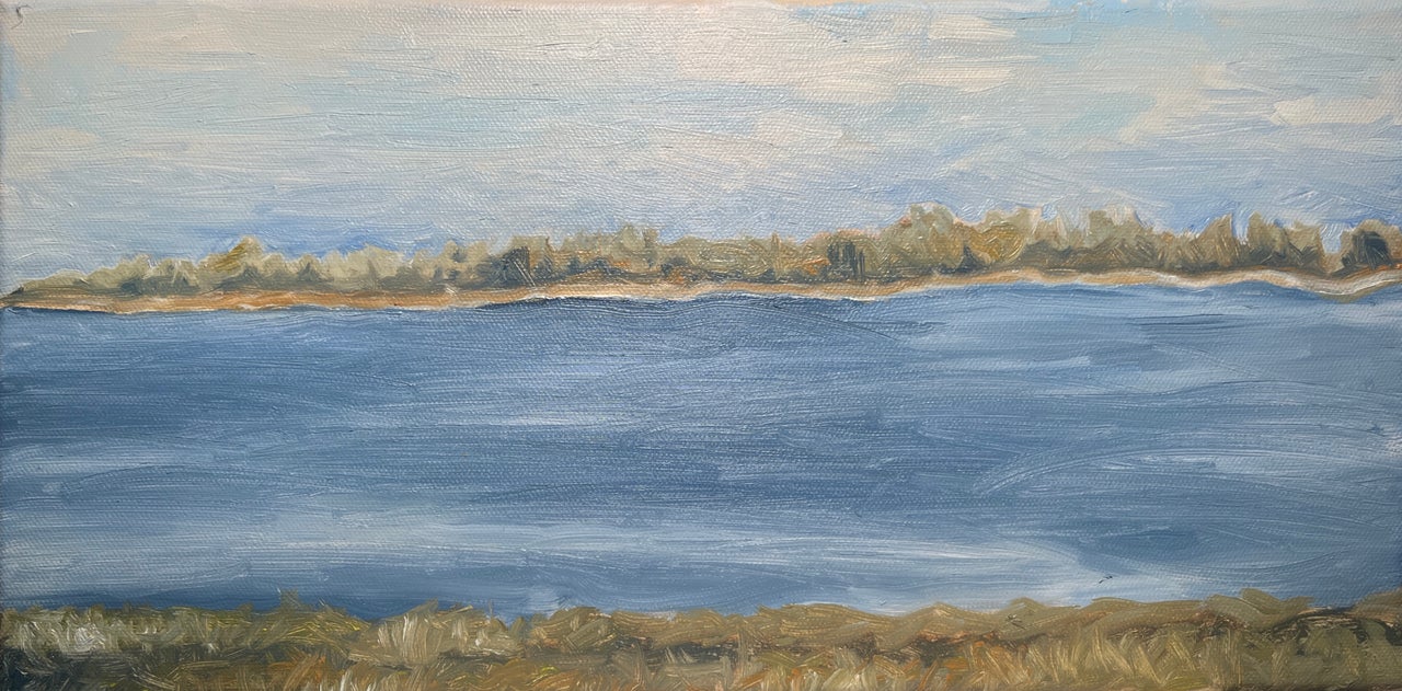 Far Shore by Susan Vydra Brown